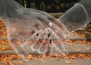 Cadena de Manos Amigas