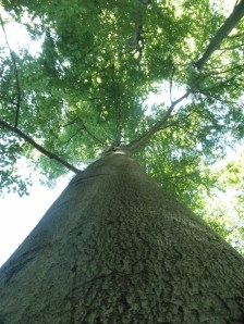 ¡Actuar! No resistirse... ¡Cambiar! Vencer los miedos a lo nuevo... ¡Fluir!