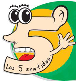 "Los Cinco Sentidos": mirar, ¿para ver?
