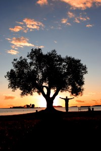 "Los Cinco Sentidos": tocar, ¿para sentir el tacto (contacto)?