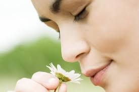 "Los Cinco Sentidos": olfatear, ¿para sentir el olor, (para disfrutar)?