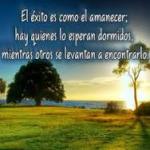 ¿Cultura de la constancia, el esfuerzo, la disciplina, la práctica ??