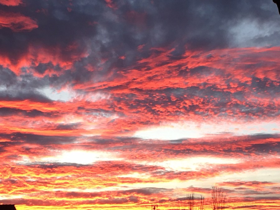 ¡despejar los miedos!